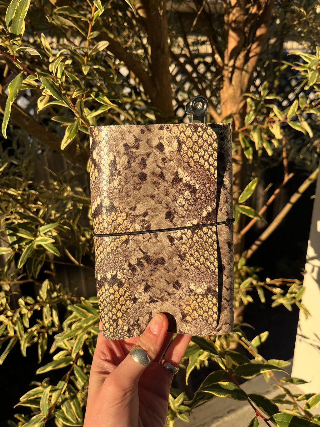A6 snake print 02