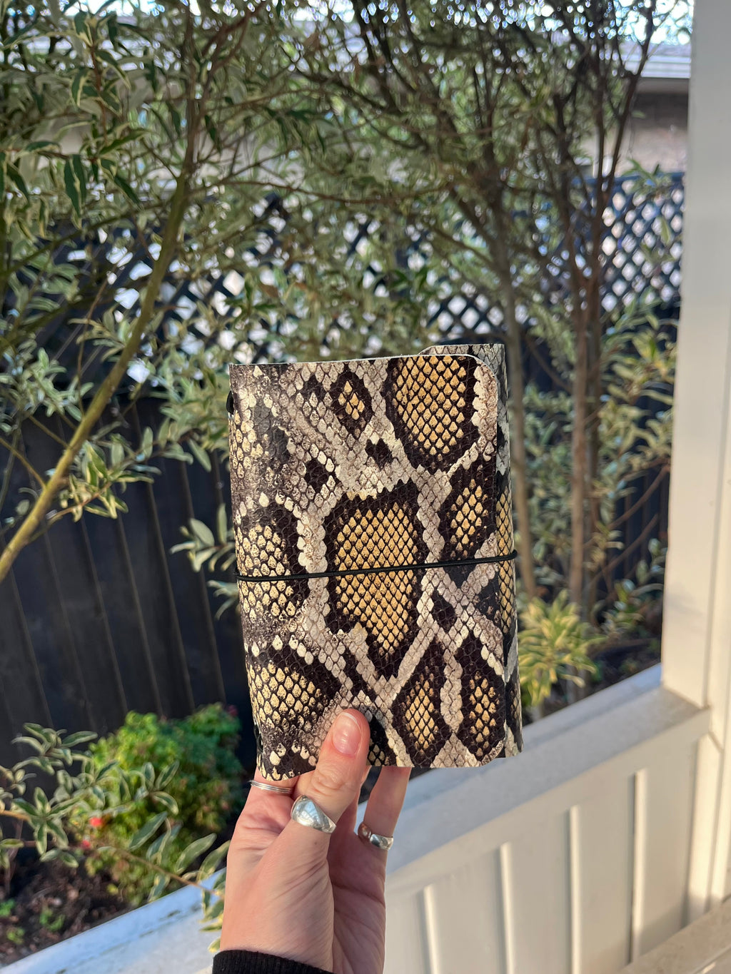 A6 snake print