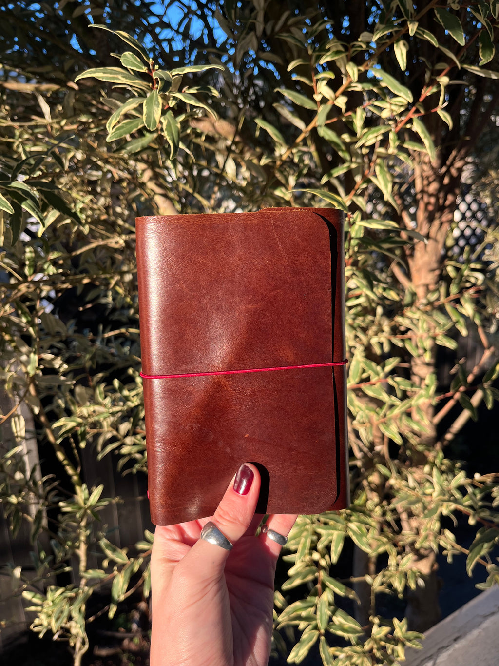 A6 mahogany